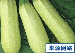 吃瓜番瓜,揭秘瓜果界的奇妙之旅