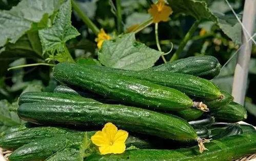 以后吃瓜就知道,揭秘娱乐圈幕后真相