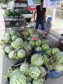 西昌吃瓜事件主角,主角揭秘与争议焦点