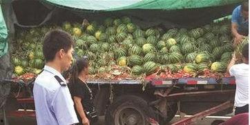 西昌吃瓜事件主角,主角揭秘与争议焦点