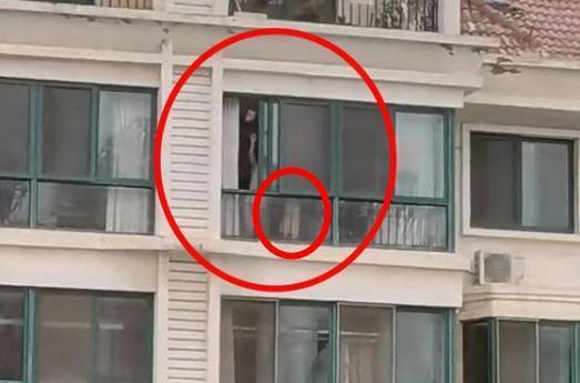 顶楼最新吃瓜,最新吃瓜揭秘，真相令人震惊！