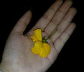 吃瓜群众吃瓜现场视频,吃瓜群众围观吃瓜盛况