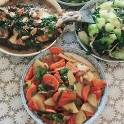 吃货视频大全吃茭瓜,吃货视频大全里的美味探索