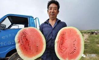 中华吃瓜男,揭秘网络时代的“吃瓜群众”现象