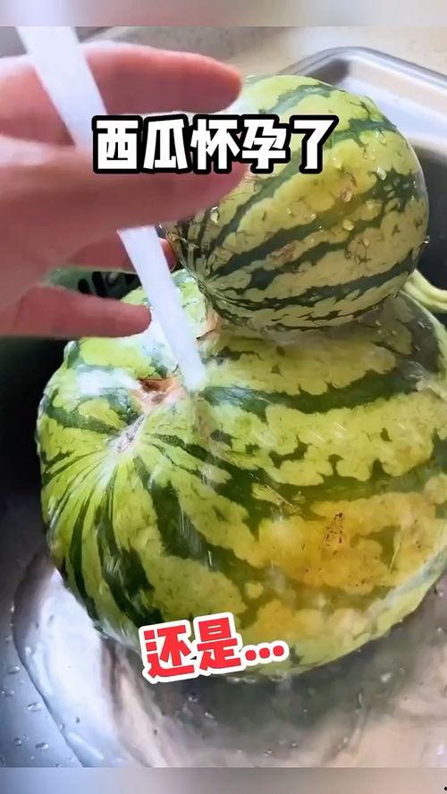 吃瓜吃不够搞笑视频