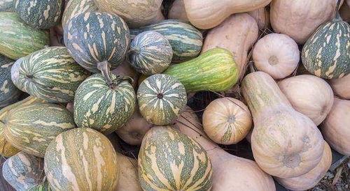 第1次吃瓜,品味人生百态