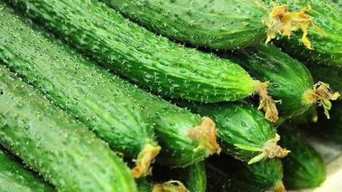 苏玖玖害怕吃瓜,瓜界恐惧者，揭秘她为何对吃瓜如此忌惮