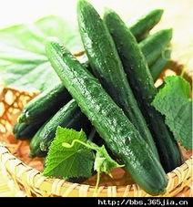 夏天吃瓜社区,瓜香四溢——夏天吃瓜社区欢乐盛夏记