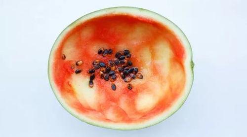 勺子推荐吃瓜,夏日消暑必备，吃瓜指南大公开！