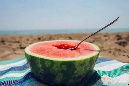 勺子推荐吃瓜,夏日消暑必备，吃瓜指南大公开！