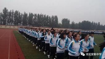 安新实验中学吃瓜,揭秘校园里的“瓜田”风云