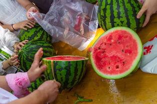 医科吃瓜,揭秘医学界的趣味故事与奇闻异事