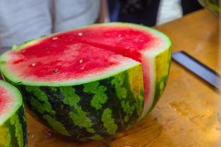 医科吃瓜,揭秘医学界的趣味故事与奇闻异事