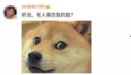 狗头吃瓜啥意思