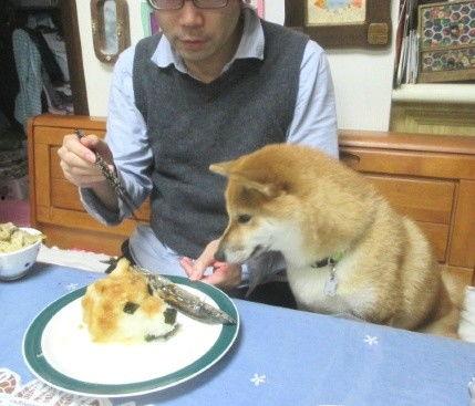 狗头吃瓜啥意思