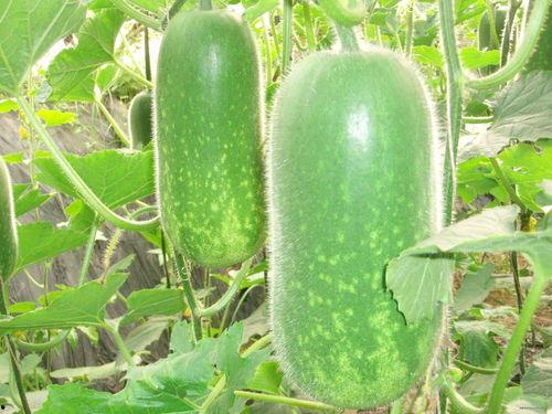 6688吃瓜,揭秘娱乐圈背后的那些事儿