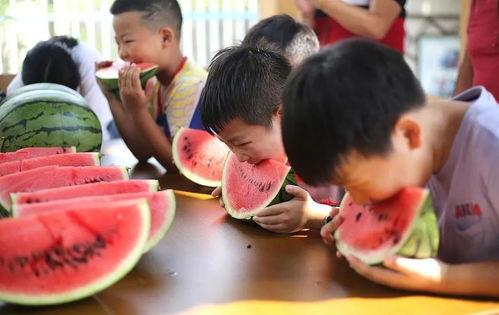 吃瓜长治,揭秘网络热点的背后故事