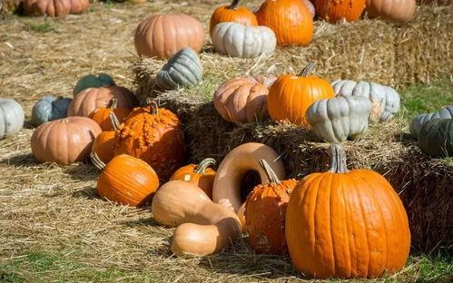 吃瓜的阿达,揭秘娱乐圈幕后故事