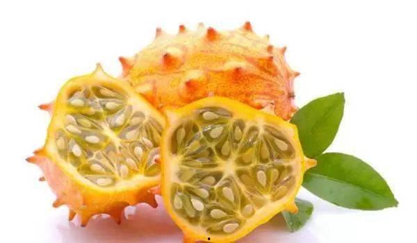 水晶瓜像是吃果冻