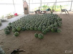 瓜兄今日吃瓜,揭秘娱乐圈最新热点事件