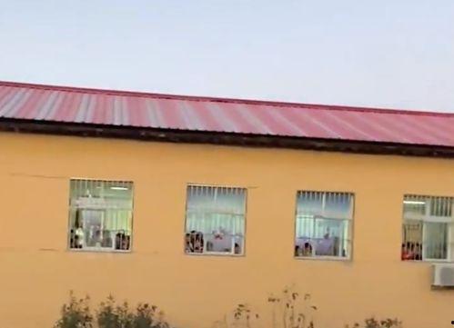 石家庄女子学院吃瓜,一场校园吃瓜大事件的背后真相