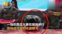 皮皮吃瓜热门视频,揭秘热门视频背后的故事与真相