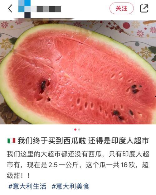 外国吃瓜网站,外国吃瓜网站深度解析