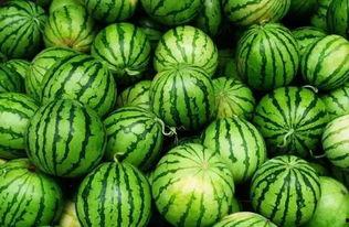 吃瓜资源群分享,热门八卦一网打尽