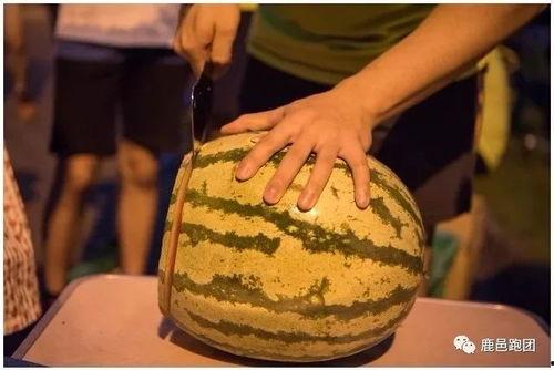 比赛吃瓜诀窍,轻松掌握比赛观战诀窍