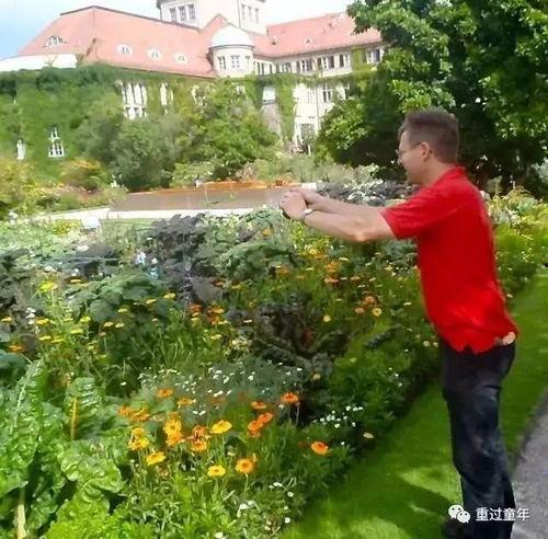 纯洁小镇吃瓜密码,揭秘吃瓜密码背后的神秘故事