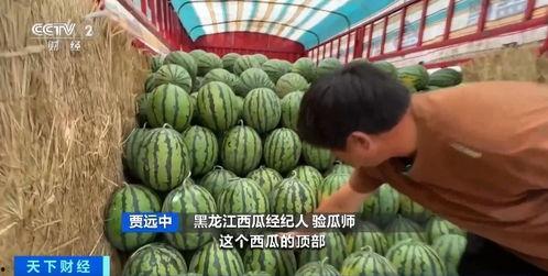 吃瓜的钱某,吃瓜群众的逆袭之路