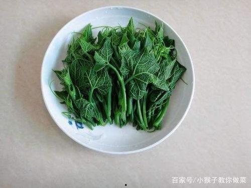 佛手瓜4月份可以吃吗,当季美味，健康之选”