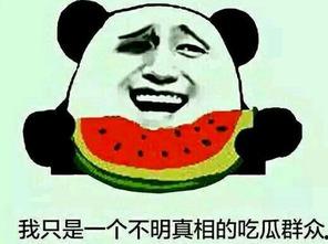 吃瓜群众喜欢看腿图片,吃瓜群众的最爱瞬间