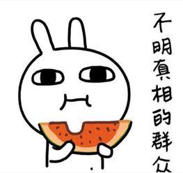 媳妇吃瓜搞笑文案,笑料百出，欢乐无限