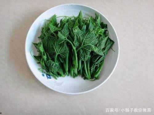 佛手瓜4月份可以吃吗,当季美味，健康之选”