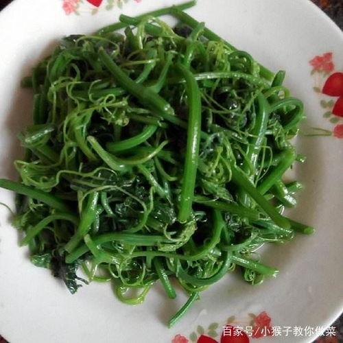 佛手瓜4月份可以吃吗,当季美味，健康之选”