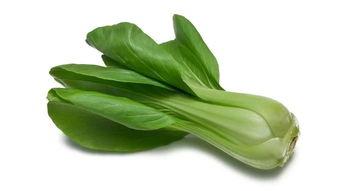 大瓜头和小雪吃青菜,大瓜头与小雪的青菜美食之旅