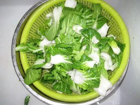 大瓜头和小雪吃青菜,大瓜头与小雪的青菜美食之旅