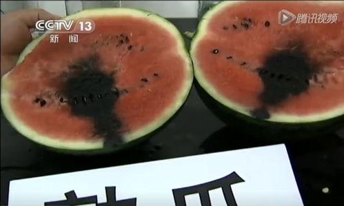 吃瓜视频的趣事,揭秘吃瓜视频里的爆笑趣事