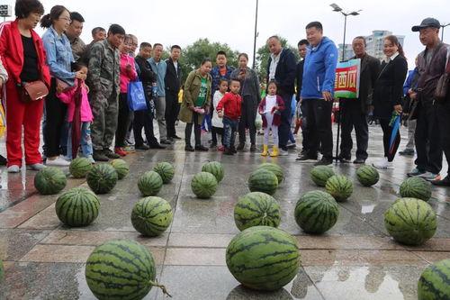 嘉洲广场吃瓜大赛,全民狂欢，瓜王争霸记
