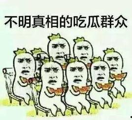 吃瓜资源群群,网络社交新趋势下的娱乐盛宴